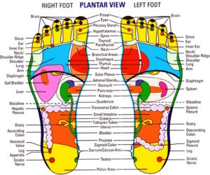 REFLEXOLOGY the Gift of Touch / Prime Science of Selling